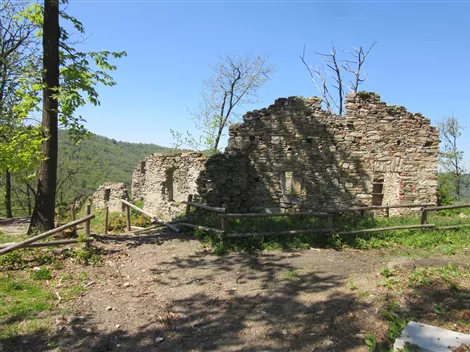 La torre medioevale dopo il disboscamento