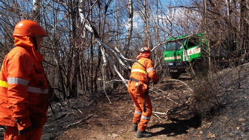 Incendi boschivi.